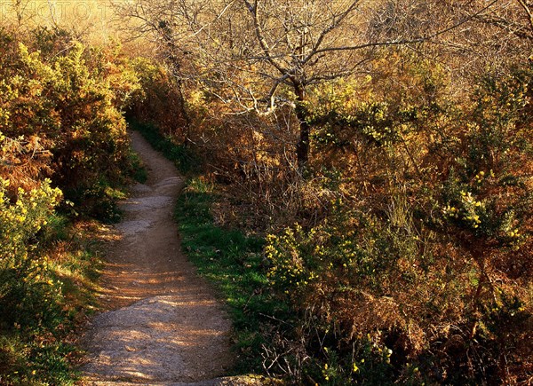 Footpath along the Gartempe, near the rocks of the Portes d'Enfer