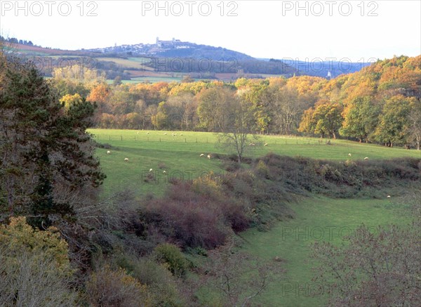 Vue du pont de la D353, entre Pierre-Perthuis et Précy-le-Moult, en direction du nord-ouest