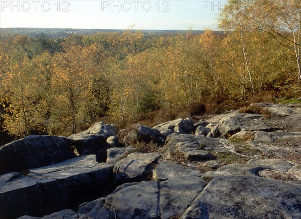 Bois de Montlognon, les Bruyères de Frais Vent