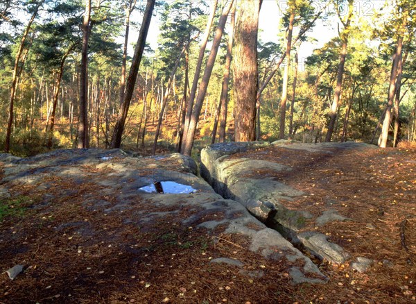 Bois de Perthe, parcelle 262, Pierre Sorcière