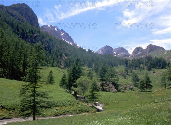 Vue du bout de la piste du hameau des Combes en direction du vallon à l'est de Fond de Closis