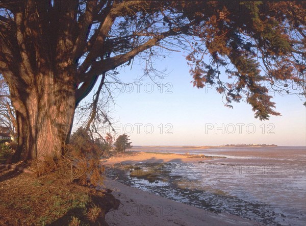 Vue du littoral de Port des Barques en direction de l'Ile