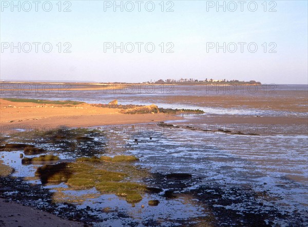 View of the shore of Port des Barques towards the island