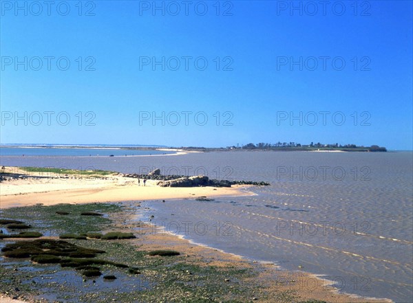 Vue du littoral de Port des Barques en direction de l'Ile