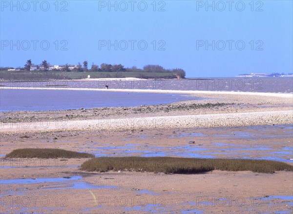 Vue du littoral de Port des Barques en direction de l'Ile