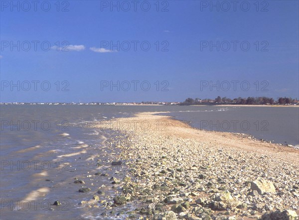 Vue de la pointe de Surgères en direction de la Passe aux Boeufs et de Port des Barques