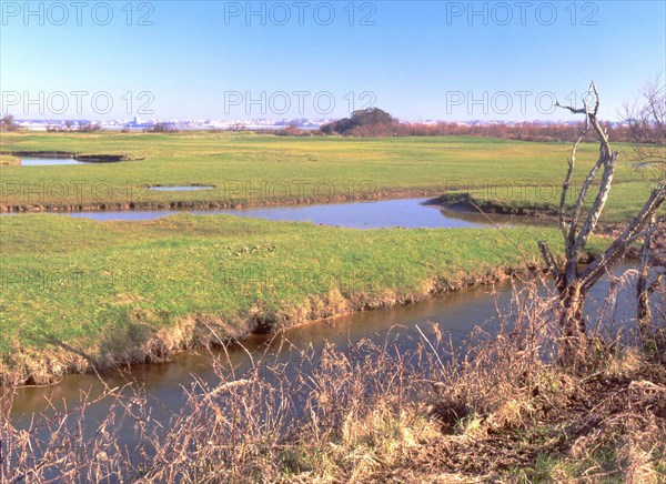 Vue de la pointe sud de la route sud en direction des marais et de Fouras