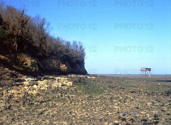 View from the lower northern coast towards the Northwest