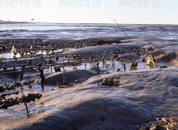 View from Passe aux Filles towards the west coast