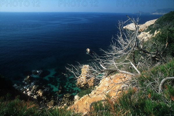 Entre pointe Fauconnière et pointe Grenier