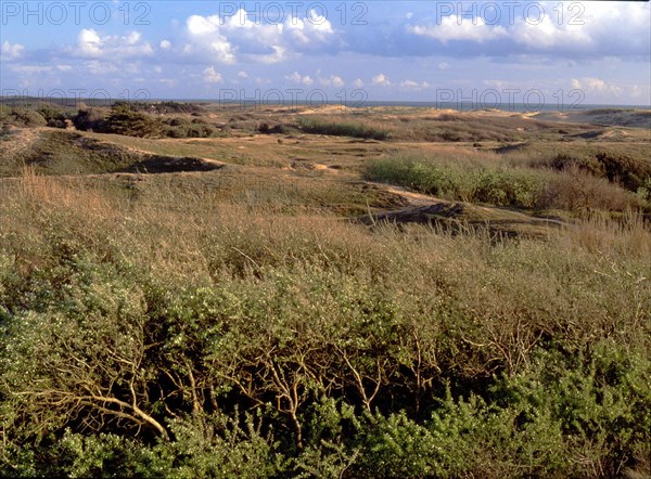 Environs de Pont Jaunay