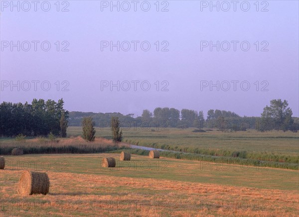 Vue de la D38 au niveau du croisement avec la D42, en direction du Jaunay et de l'arrière-dune boisée