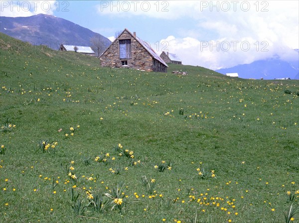 Saugué plateau, towards the West