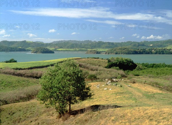 Vue de la D2 en direction de pointe Marcussy et îlot du Galion