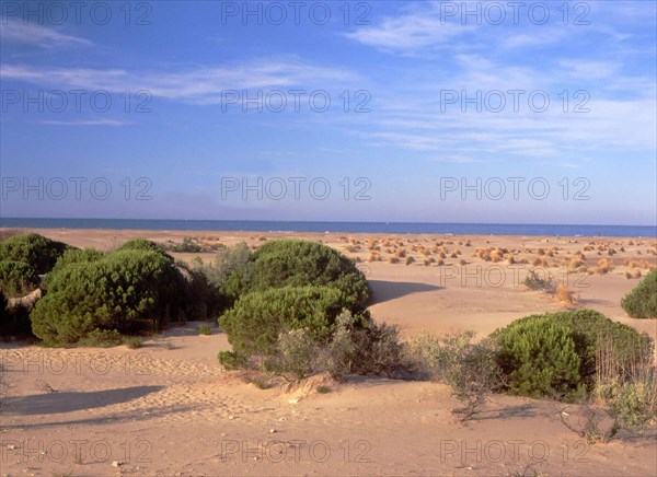 Environs du phare de l'Espiguette