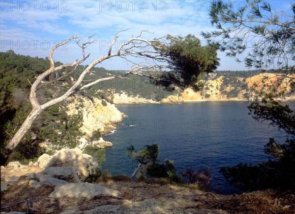 Baie de la Moutte