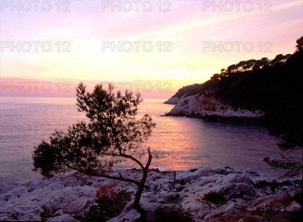 Calanque du port d'Alon