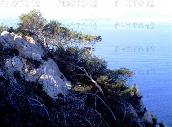 Pointe Fauconnière. In the distance, La Ciotat  and Cap Canaille