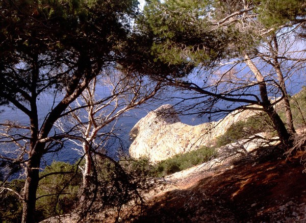 Environs de la pointe du Deffend