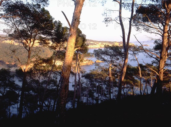 Pointe du Deffend. A l'arrière-plan, pointe des Engraviers et île Rousse