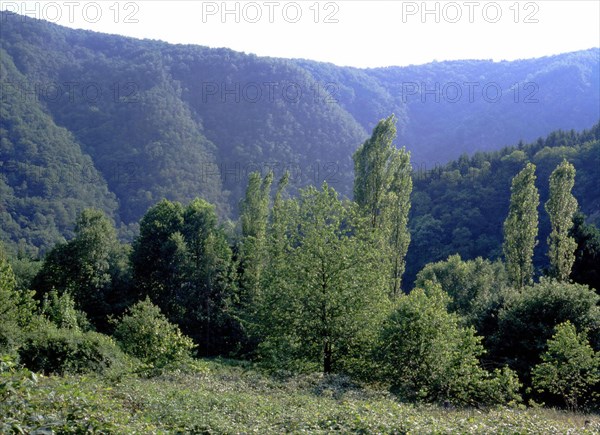 View from the D1 bridge (at Laifour)  towards the Dames de Meuse valleys