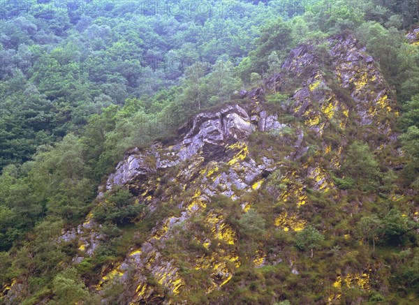 Détail du rocher des Dames de Meuse