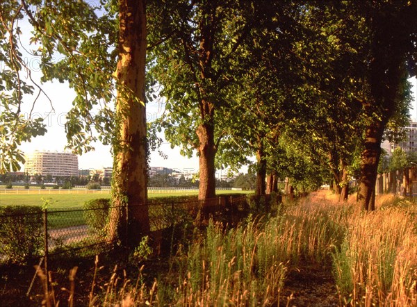 Vue de la contre-allée longeant la rue du Camp Canadien en direction de Suresnes