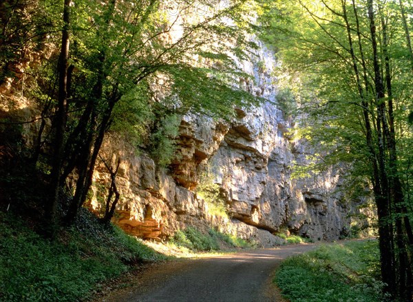 Vue de la D21, le long du torrent des Alloz