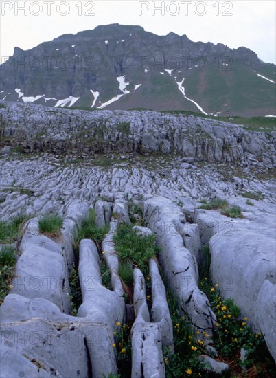 Vue des environs des chalets de Platé en direction de la Pointe de Platé, détail de lapiaz