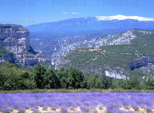 Vue du Rède (D5) en direction du rocher du Cire et du mont Ventoux