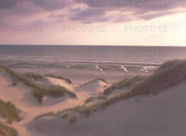 Dunes to the North of Fort-Mahon-Plage