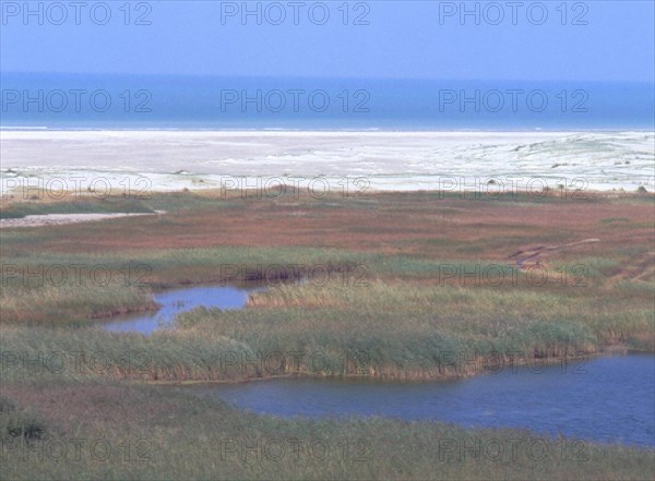 Anse Bidard, dunes and marsh