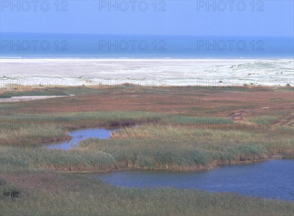 Anse Bidard, dunes et marais