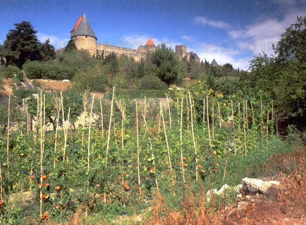 Carcassonne, Languedoc-Roussillon