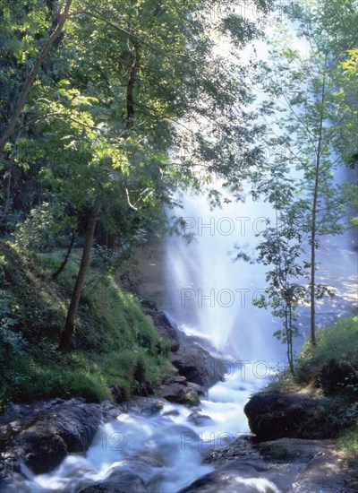 Bassin de Saint-Ferréol, le parc (grande gerbe)