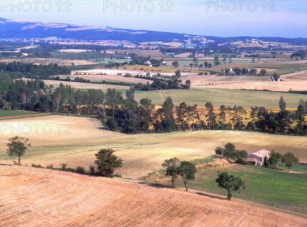 Vue des environs des Cassés en direction du sud, sur les méandres de la rigole bordée d'arbres (au centre)