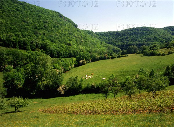 Franche-Comté : Baume les Messieurs
Vue de la route de la Peyrouse à Grange Bedou