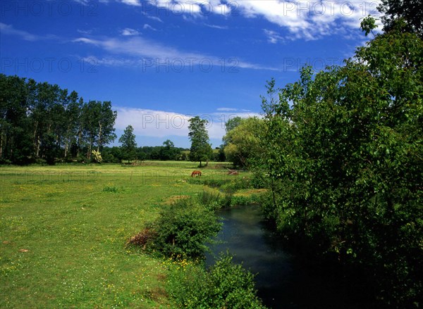 Ile-de-France : vallée de L'Orvanne
Vue de la route d'Epigny à Cornoy en direction de l'Orvanne