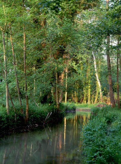 Ile-de-France : Vallée de l'Orvanne
L'Orvanne vue de la route de Pilliers au Parc saint Ange