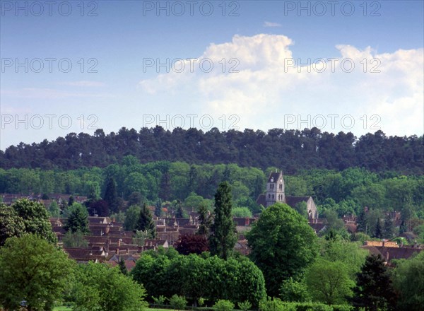 Ile-de-France : Bois de la Commanderie
Vue de la route de Recloses à Villiers-sous-Grez