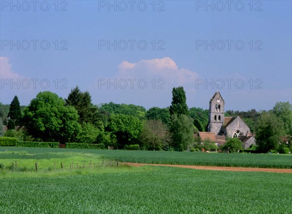 Ile-de-France : Bois de la Commanderie
Vue de la D104