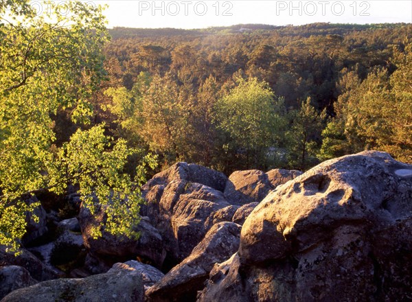 Ile-de-France : Bois de la Commanderie : vue des rochers de l'Eléphant