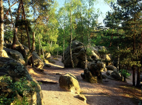 Ile-de-France : Bois de la Commanderie : rochers de Dame Jouanne