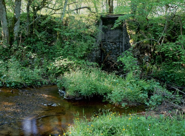 Bourgogne : le Mont Préneley et les sources de l'Yonne : Port des Lamberts