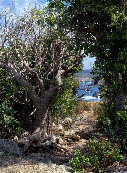 Guadeloupe : pointe de la Grande Vigie : de la pointe de la Grande Vigie vers la pointe du Capucin