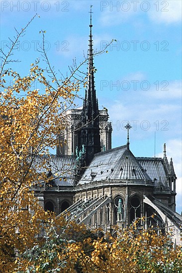 Notre-Dame cathedral, Paris