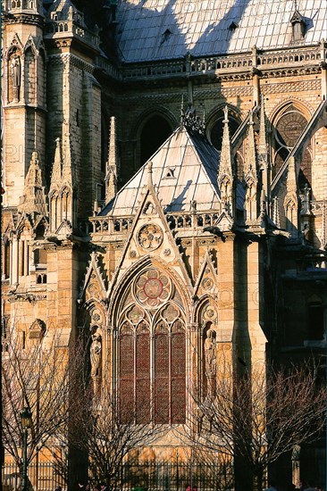 Notre-Dame cathedral, Paris
