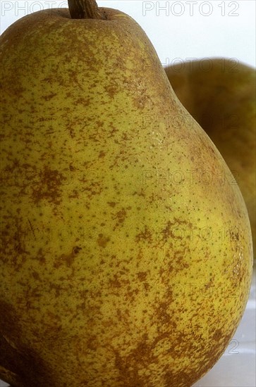 Poire