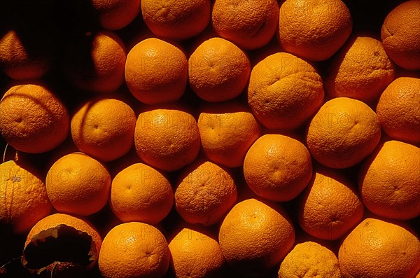 Oranges