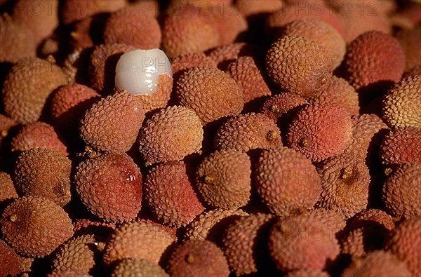 Litchis